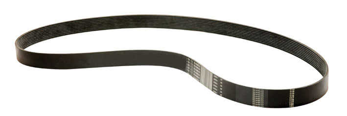 Serpentine Belt